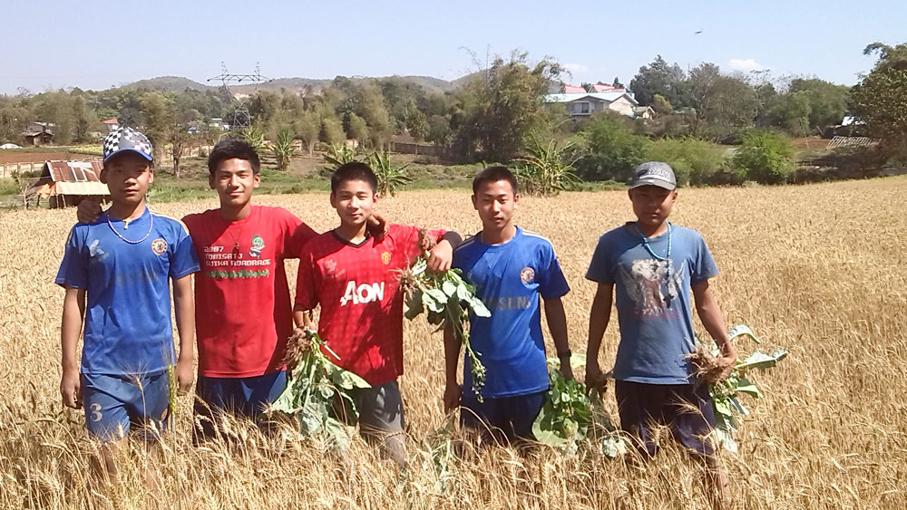 Funds for Food Stability